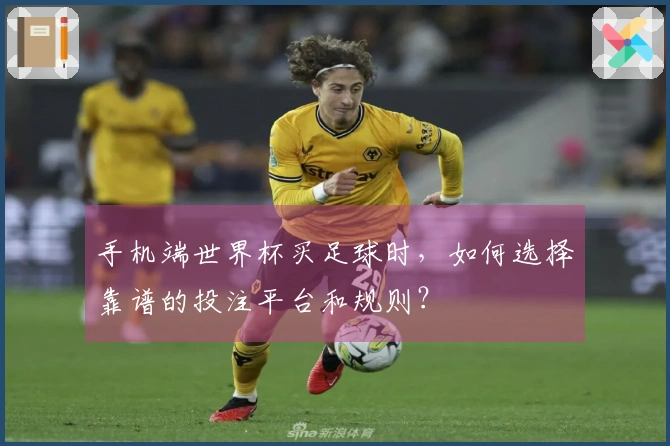 手机端世界杯买足球时，如何选择靠谱的投注平台和规则？